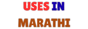 usesinmarathi.site